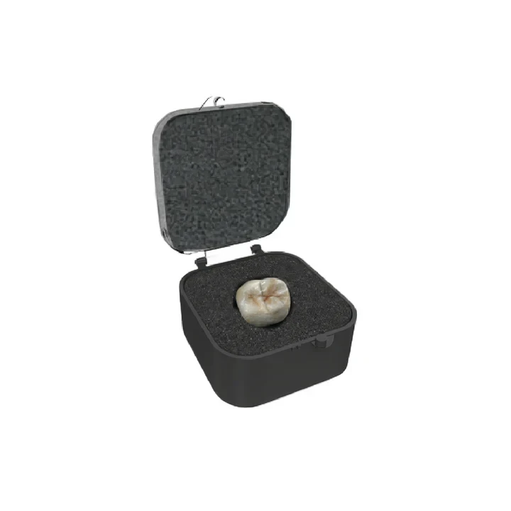 Present Crown & Bridge Box