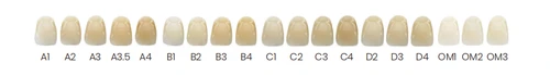 Ai-Stain Zirconia Stain - D Shade 4g