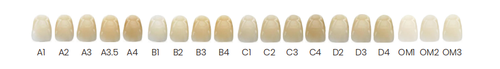 Ai-Stain Zirconia Stain - Black 4g