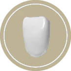 EZneer Preshaded Zirconia Puck