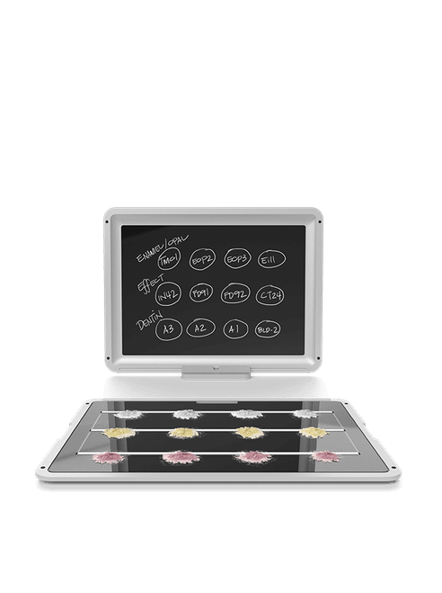 Tray by Harvest