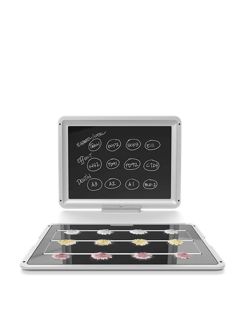 Tray by Harvest