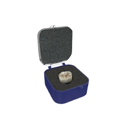 Present Crown & Bridge Box