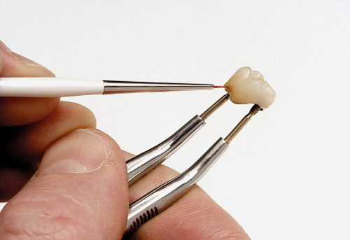 Renfert - TAKANISHI Brushes, 2pcs.