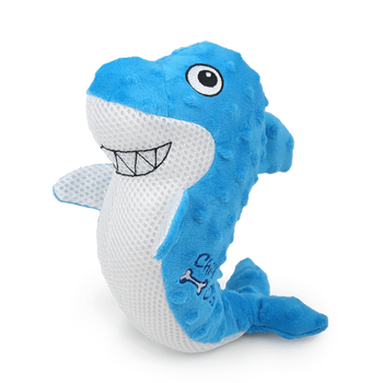 Chill Out - Shark