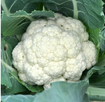 Organic CauliFlower