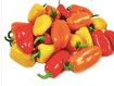 Organic Sweet Pepper Medley