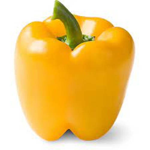 Yellow Bell Peppers are full of great health benefits—they're packed with vitamins and low in calories! They are an excellent source of vitamin A, vitamin C, and potassium.