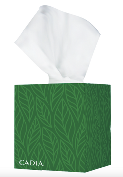 Cadia 100% Recycled Facial Tissue