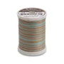 Sulky 30 Wt. Cotton Blendables Thread - Chocolate Mint - 500 yd. Spool