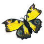 Butterfly Palette - For Machine Embroidery - 10 pk. Thread Assortment + 2 Designs Butterfly Palette - For Machine Embroidery - 10 pk. Thread Assortment + 2 Designs