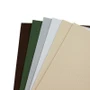 Twilly Neutrals Sampler - 6-pack