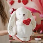 I Love you Heart Bunny Embroidery Blank