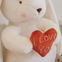 I Love you Heart Bunny Embroidery Blank