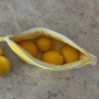 Lemon Slice Zipper Pouch Digital Pattern
