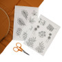 Fall Botanicals - Stick ‘n Stitch™ Hand Embroidery Transfers