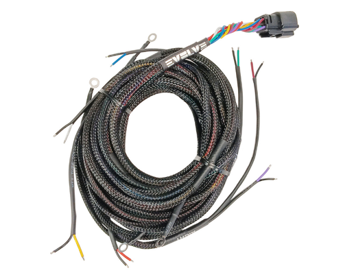 Fast (Brass) Valves to AVS 7 Switch Box 25ft Wiring Harness