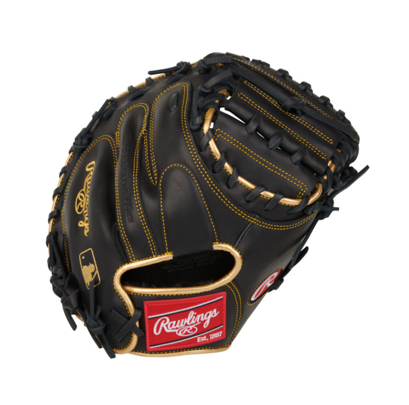 Rawlings R9 Catcher's Mitt