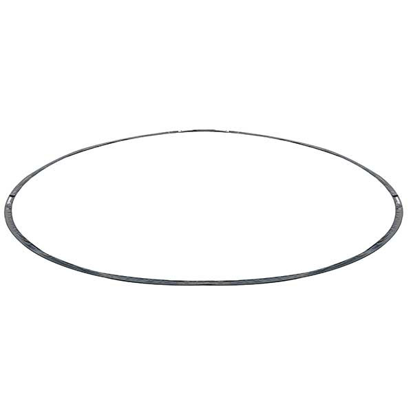 Champion Sports RHINO Lacrosse Crease - Thumbnail 2
