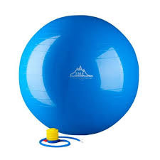 Vist Large View of Product Image Which is New Body/Fit Ball Royal Blue 55 cm