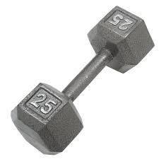 Vist Large View of Product Image Which is New 25 LB METAL DUMBBELL