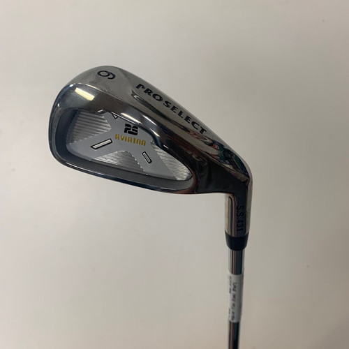 Vist Large View of Product Image Which is Pro Select Golf Individual Irons