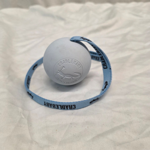 Vist Large View of Product Image Which is New CRADLEBABY Lacrosse Training Aid