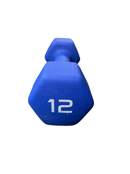 Vist Large View of Product Image Which is New Apollo Blue Neoprene Dumbbell 12 lb