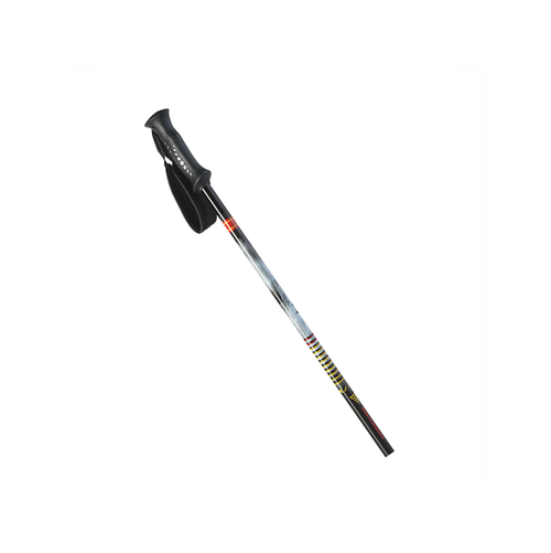 Vist Large View of Product Image Which is Erik Sports Downhill Skiing Men's Downhill Ski Poles