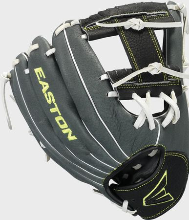 Vist Large View of Product Image Which is New PRO YTH 10" BK/GR LHT
