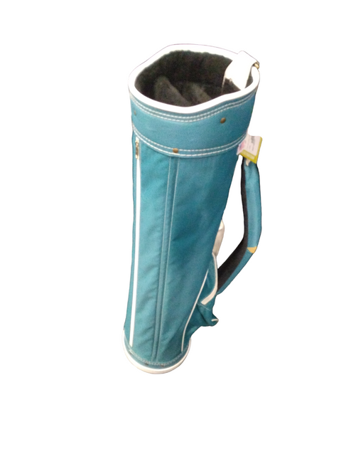 Vist Large View of Product Image Which is Used PALM SPRINGS Mens Cart Bag Teal