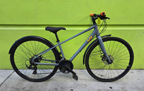 Used Giant Liv Alight XS disc hybrid bike
