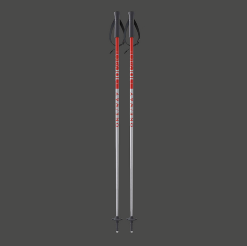 Vist Large View of Product Image Which is Fischer XTR Ski Poles #OZ36124