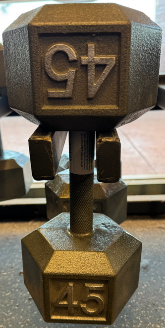 Vist Large View of Product Image Which is New Hex DB 45 lb Cast Iron Apollo Athletics