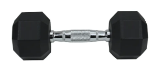Vist Large View of Product Image Which is New PREMIER FITNESS RUBBER/CHROME 25 LB DUMBBELL #DF01825