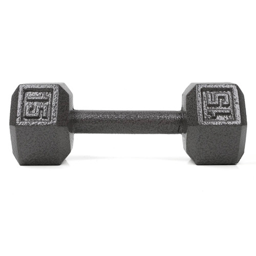 Vist Large View of Product Image Which is New 20lb Cast Iron Dumbbell