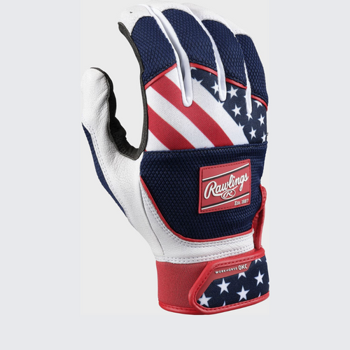 Vist Large View of Product Image Which is New Workhorse Fastpitch Batting Gloves USA Md