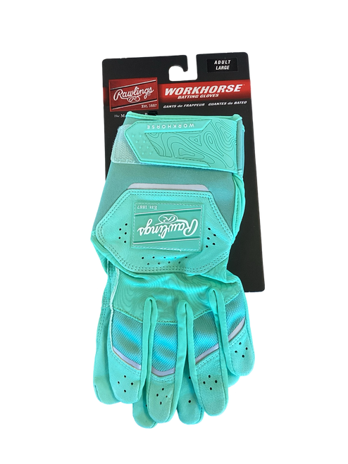 Vist Large View of Product Image Which is New Raw workhorse mint AM