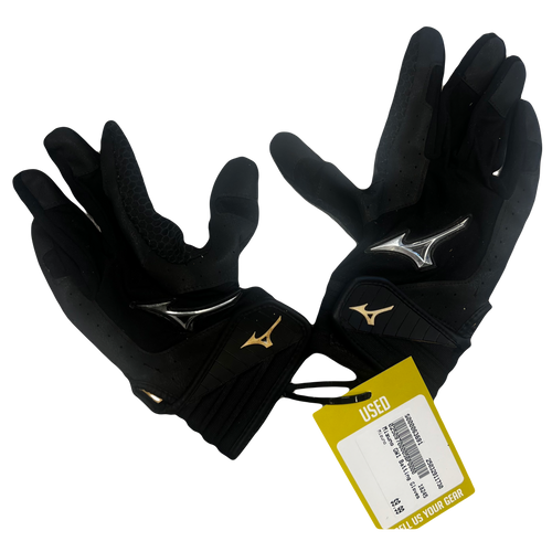 Vist Large View of Product Image Which is Used Mizuno GW1 Batting Gloves - Black - LG