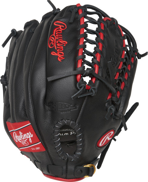 Vist Large View of Product Image Which is New SELECT PRO 12.25" GLOVE RHT