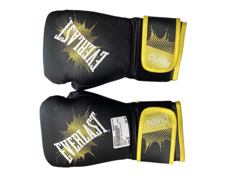 Used Everlast Boxing Gloves  11798-C000035375