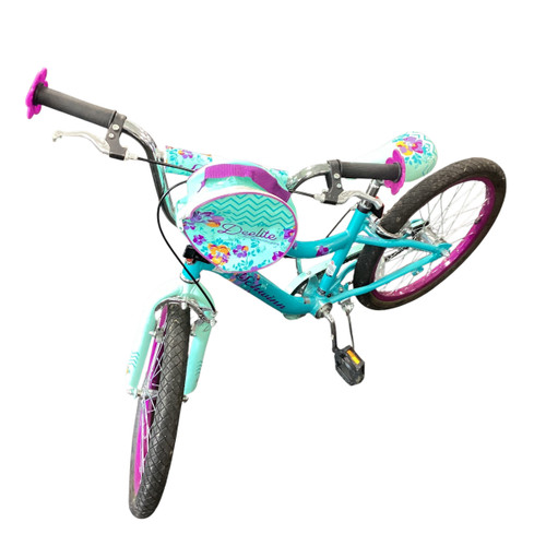 Used Schwinn DEELITE Cruiser Bike Girls Teal 20" 11479-S000397236