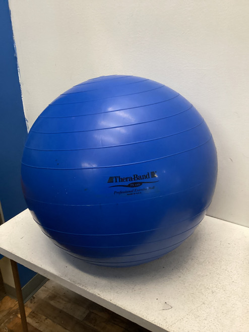 Used Exercise Ball 11443-S000195768