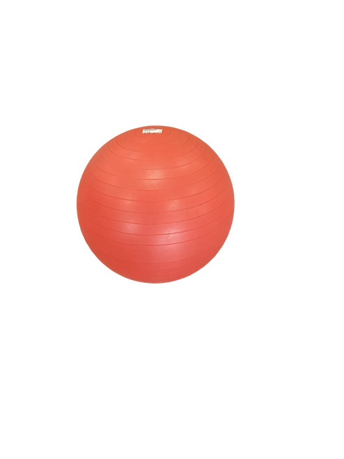 Used Body/Fit Ball Orange 13 lb