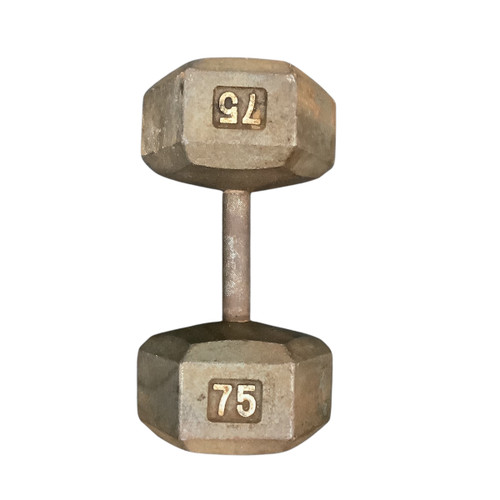 Used Hex Dumbbell (Each) 75 lb 11479-S000398584