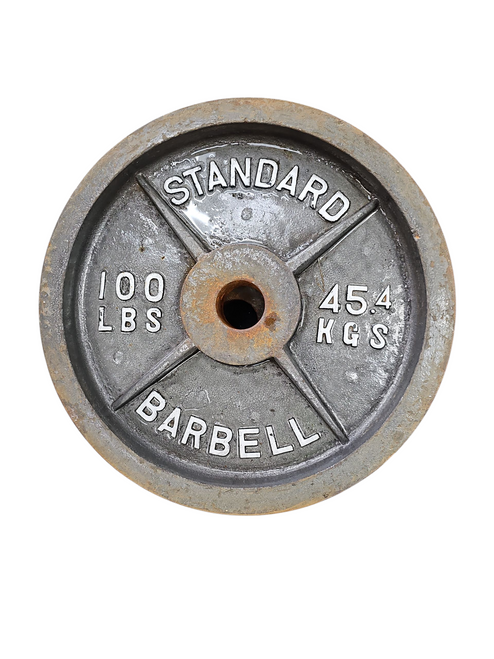Used Olympic Plate (Each) 100 lb 11617-S000328380