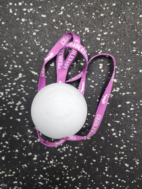 Vist Large View of Product Image Which is Used Cradlebarry  Lacrosse Training Aid 11849-S000029928