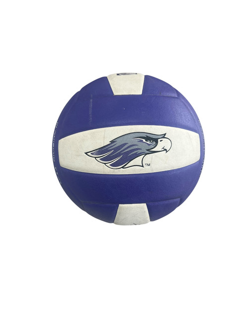 Vist Large View of Product Image Which is Used Asics Indoor VB Purple 11833-S000164865