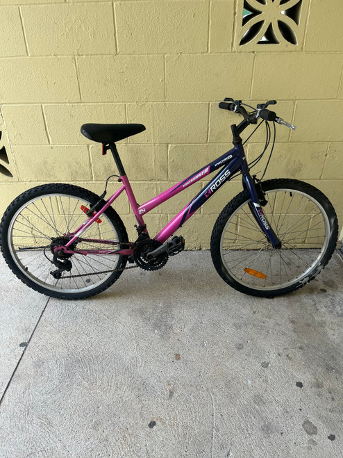 Vist Large View of Product Image Which is Used ROSS RIDGERUNNER Mountain Bike Girls Pink 24" 10589-S000416231