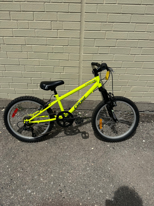 Vist Large View of Product Image Which is Used GLOW TWENTY Mountain Bike Boys Kelly green 20" 10589-S000416358